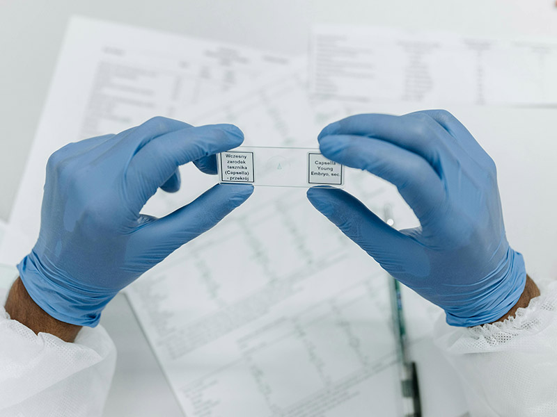 高强度钢板检测