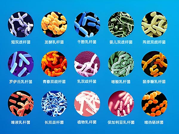 食品用菌种活菌定量检测创新标准方法出炉